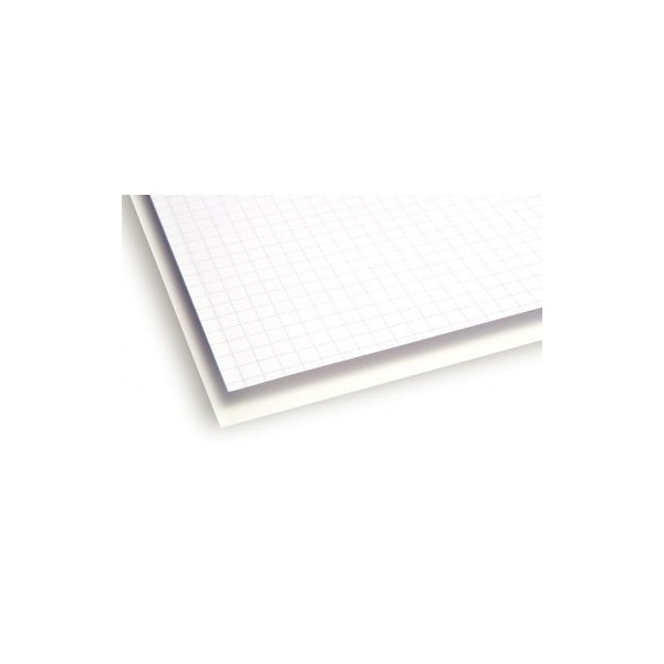 Paquet de 125 feuilles bristol, format : 50 x 65 cm, 205 grammes, uni blanc