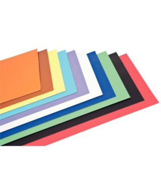 Paquet de 100 feuilles de carton couleur, 340 grammes, format : 29