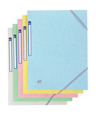 Carte de 5 x 25 index flèches coloris assortis transparents