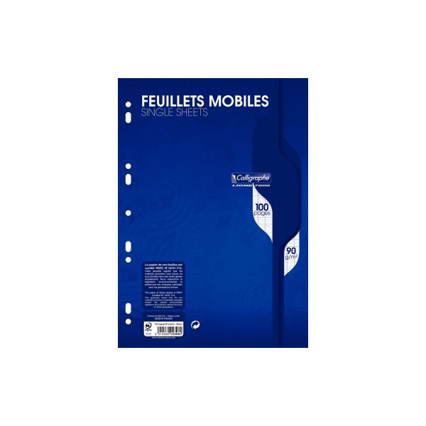 Feuillets mobiles Séyès - 17x22cm - 90g - blanc éco - lot de 10 paquet 50  feuillets (100 pages) NF88 Ecole pas cher