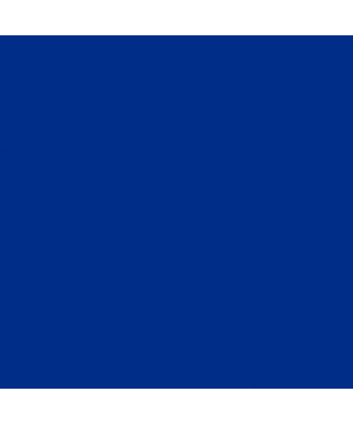 Bic Feutre effaçable à sec 1721 pointe Fine ogive bleu x 24 - Marqueur -  LDLC