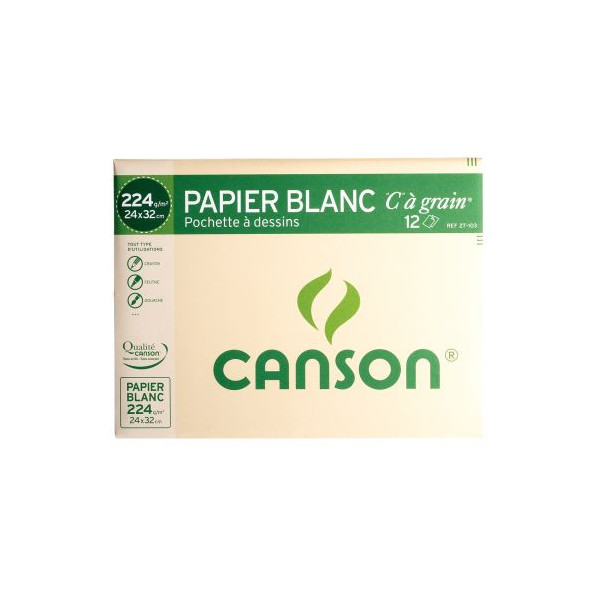 Canson papier à dessin couleur 120g / 10 feuilles
