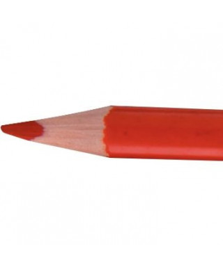 Pot de 48 crayons de couleur Évolution triangulaire pointe moyenne