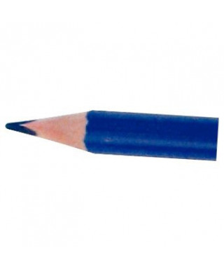 Crayon de couleur 18cm Pastel x12 MA PLUME ECO : le lot de 12