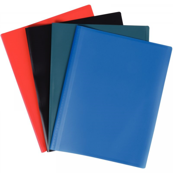 Protège-documents Eco polypropylène translucide A4 40 pochettes - 80 vues  couleurs assorties sur