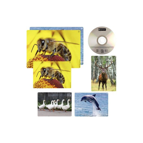 LCDL - superimagier.pdf  Imagier animaux, Animaux ovipares, Imagier