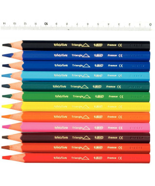 Bic Kids crayon de couleur Ecolutions Evolution 12 crayons en étui