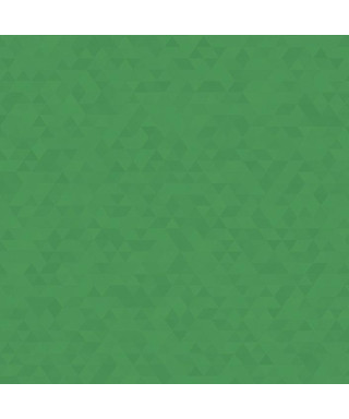 Pochette à rabats en carton à élastique Verte, autres couleurs Exacompta  (par 3) - CAPE Tanger