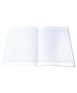 Cahier 21x29,7, 96 pages,...