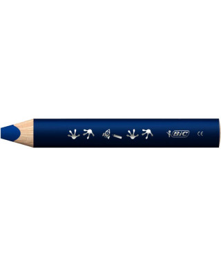 Crayon multi surface BIC...