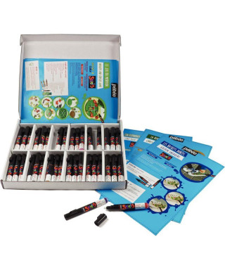  BIC Kids Plastidecor Pack de 144 Craies de coloriage : Toys &  Games