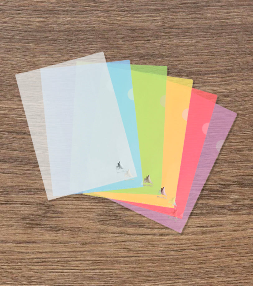 Tout savoir sur la pochette coin couleur - Ma Rentrée Facile