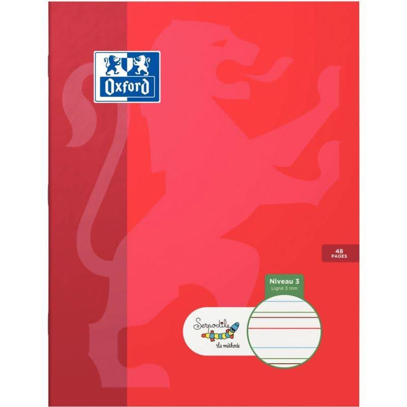 CAHIERS ET COPIES TROUBLES DYS