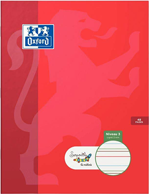 CAHIERS ET COPIES TROUBLES DYS