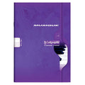 Cahier musique et chant 21x29,7 cm. 48 pages ( 24 pages seyes 24 pages portées). 70g, Calligraphe