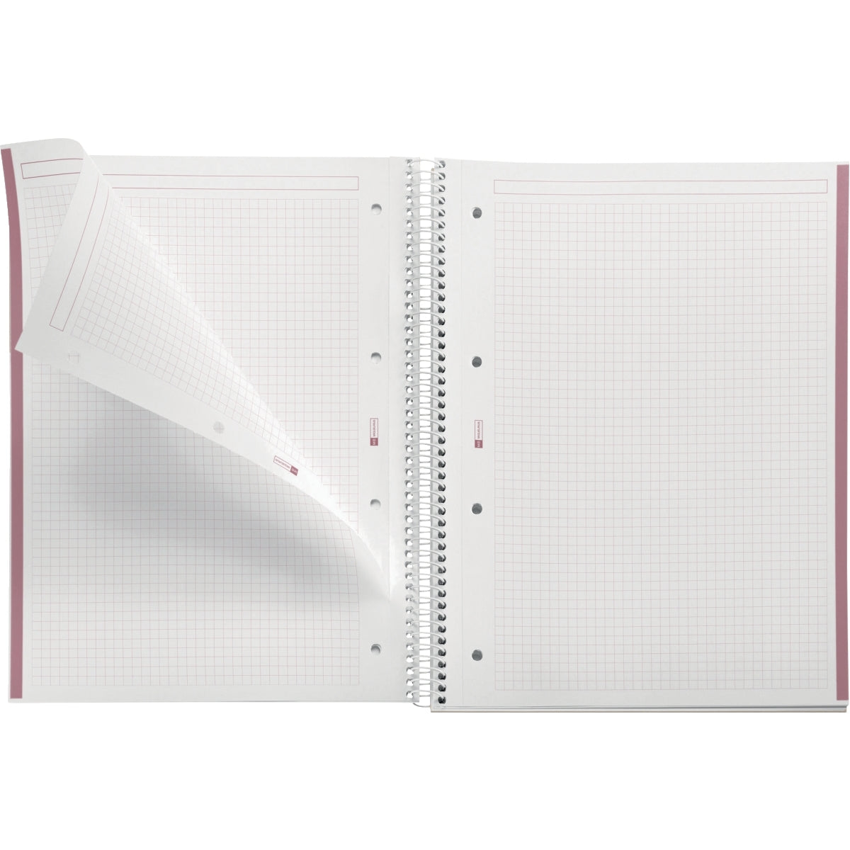 Cahier à spirale Notebook MIQUELRIUS, A4, 160 pages, 5x5, 90g, perforé rose poudré