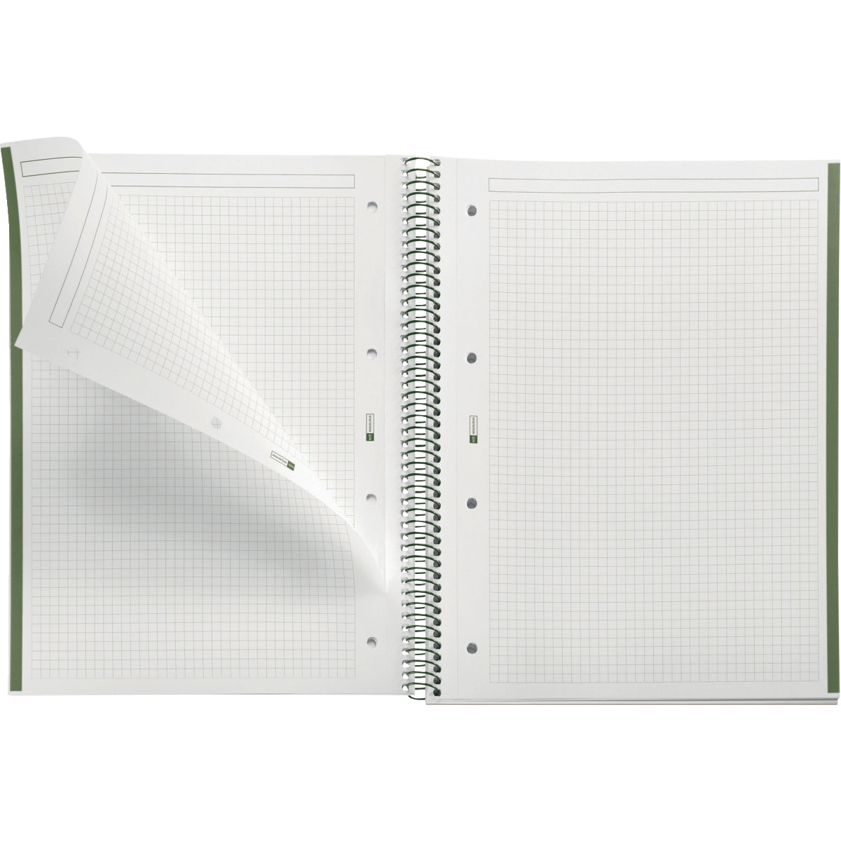 Cahier à spirale Notebook MIQUELRIUS, A4, 160 pages, 5x5, 90g, perforé vert