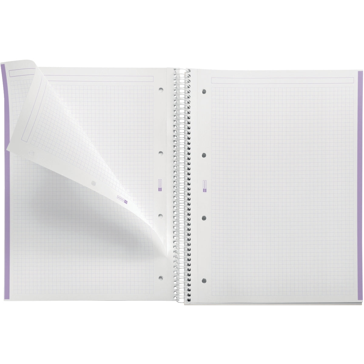 Cahier à spirale Notebook MIQUELRIUS, A4, 160 pages, 5x5, 90g, perforé lavande