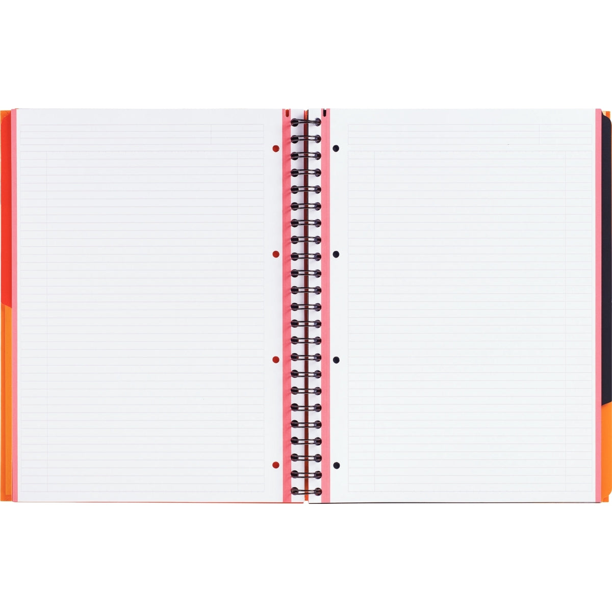 Cahier Filingbook Oxford A4+ ligné 200 pages, vue 4