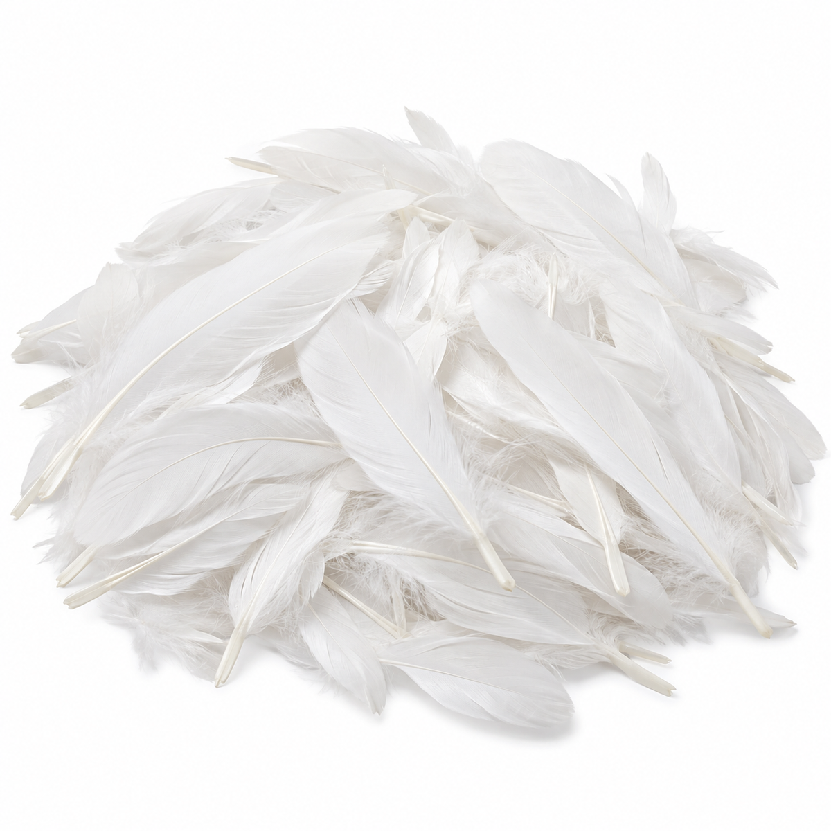 Sachet de 25 gr de plumes de dinde, pieds plats blanc