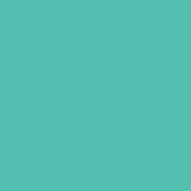 Agrafeuse pince Leitz Wow 5531, 15 feuilles menthe - Ma Rentrée Facile