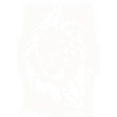 Assortiment de 6 pochoirs Animaux sauvages A4 - Ma Rentrée Facile