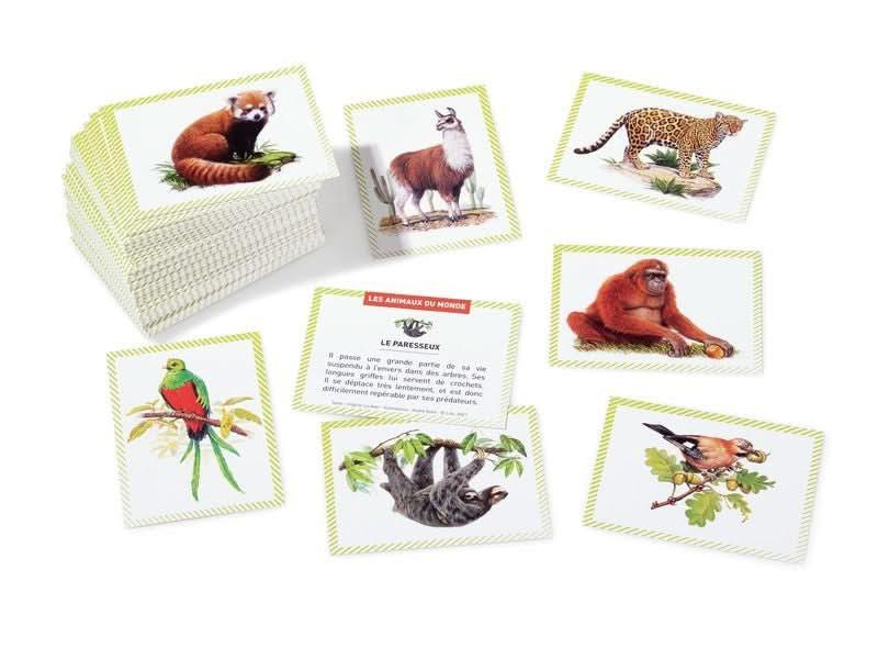 Boite de 100 images animaux du monde - Ma Rentrée Facile