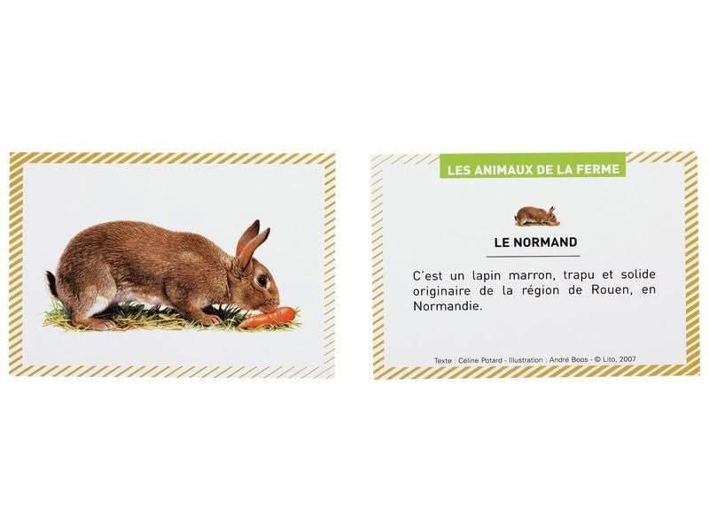Boite de 100 images Les animaux de la ferme - Ma Rentrée Facile