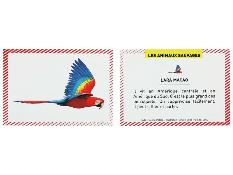 Boite de 100 images Les animaux sauvages - Ma Rentrée Facile