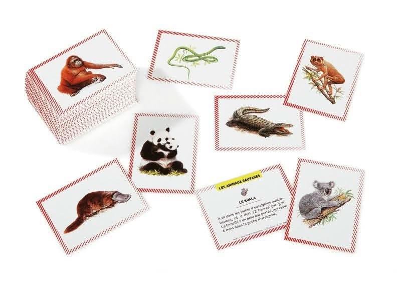 Boite de 100 images Les animaux sauvages - Ma Rentrée Facile