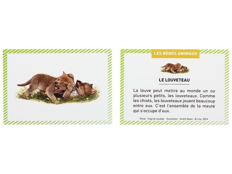 Boite de 100 images Les Bébés animaux - Ma Rentrée Facile