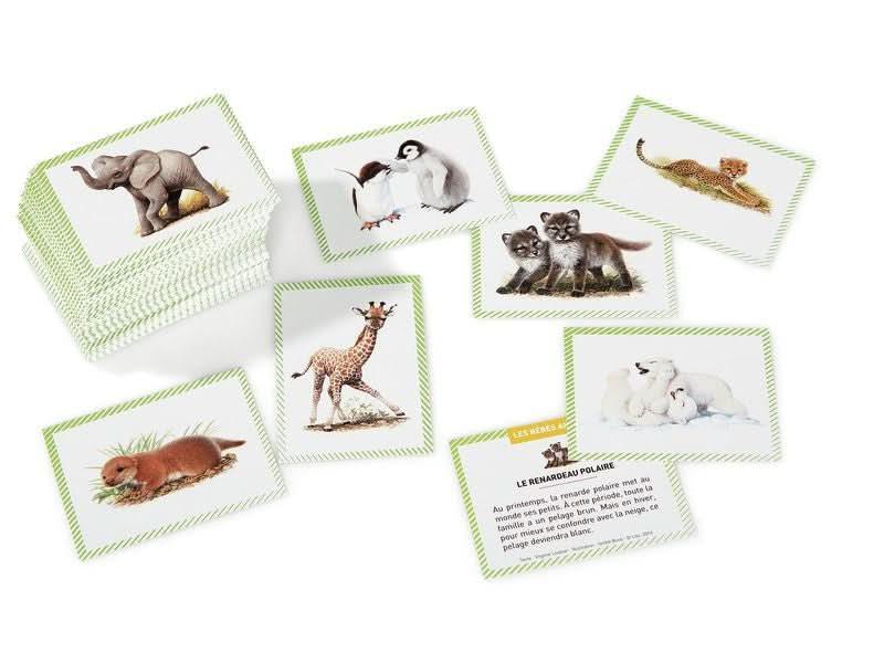 Boite de 100 images Les Bébés animaux - Ma Rentrée Facile