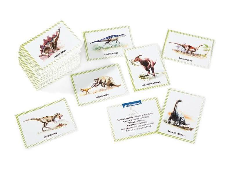 Boite de 100 images Les dinosaures - Ma Rentrée Facile