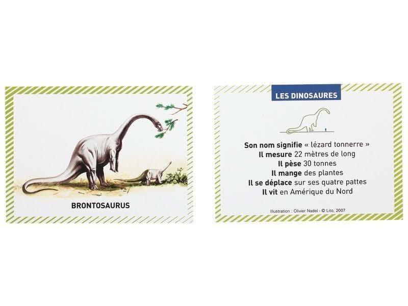 Boite de 100 images Les dinosaures - Ma Rentrée Facile