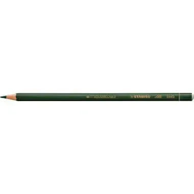 Boite de 12 crayons effaçables Stabilo All verts - Ma Rentrée Facile