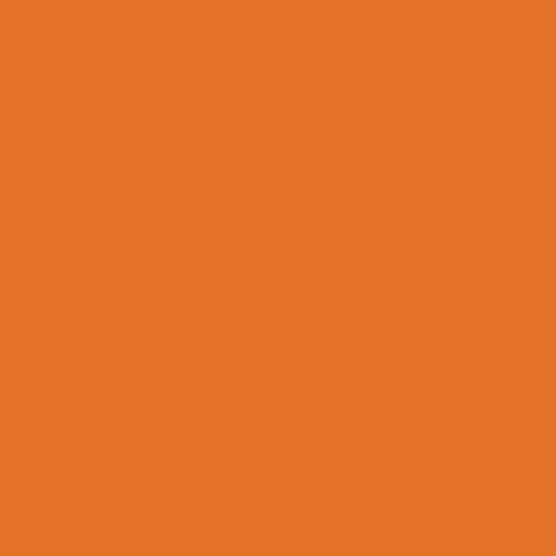 Boîte de 12 feutres pointe extra large Bic Kids Visacolor 1161 orange - Ma Rentrée Facile