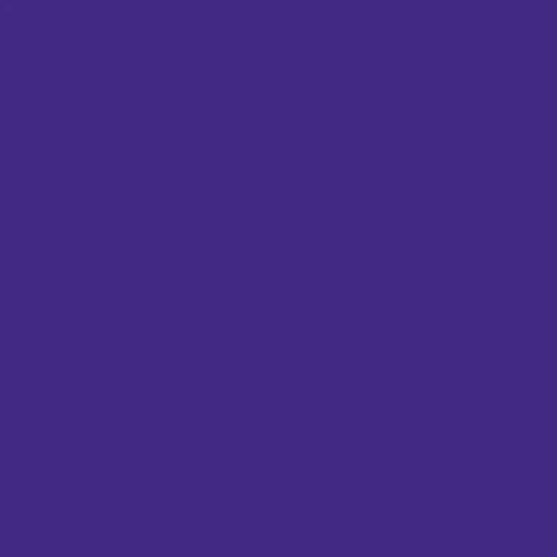 Boîte de 12 feutres pointe extra large Bic Kids Visacolor 1161 violet - Ma Rentrée Facile