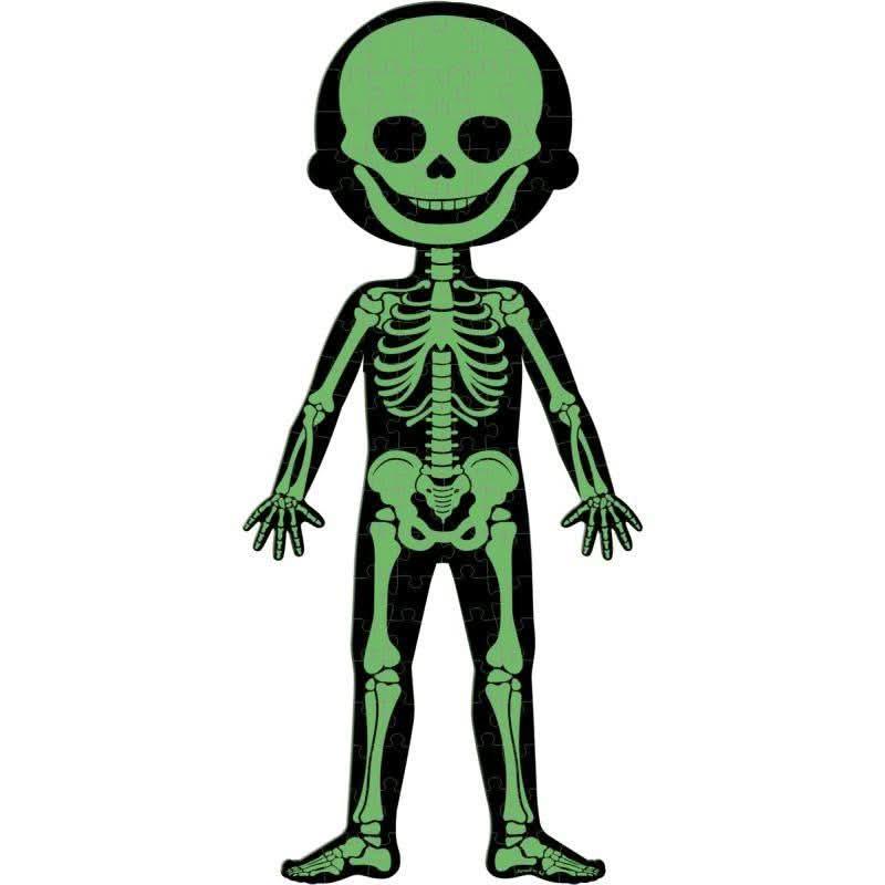 Boite de 4 puzzles le corps humain - Ma Rentrée Facile