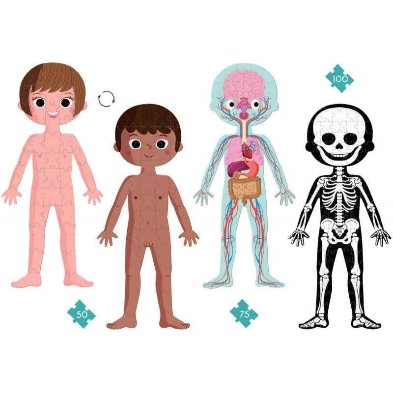Boite de 4 puzzles le corps humain - Ma Rentrée Facile