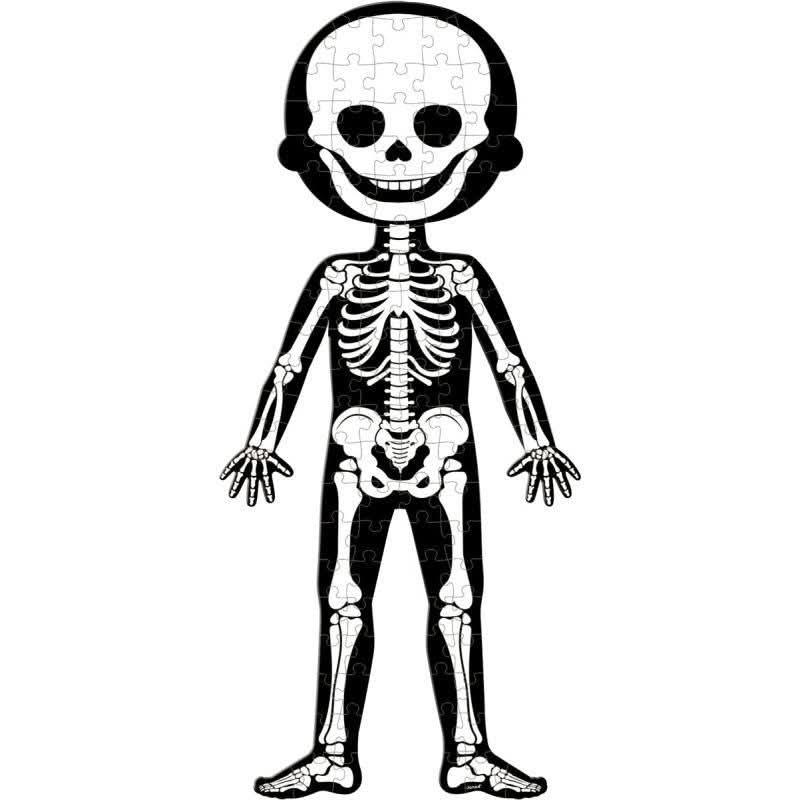 Boite de 4 puzzles le corps humain - Ma Rentrée Facile