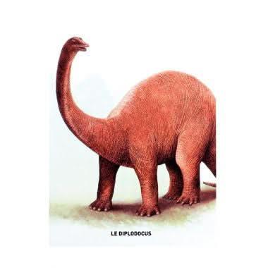 Boite de 50 grandes images Les dinosaures - Ma Rentrée Facile