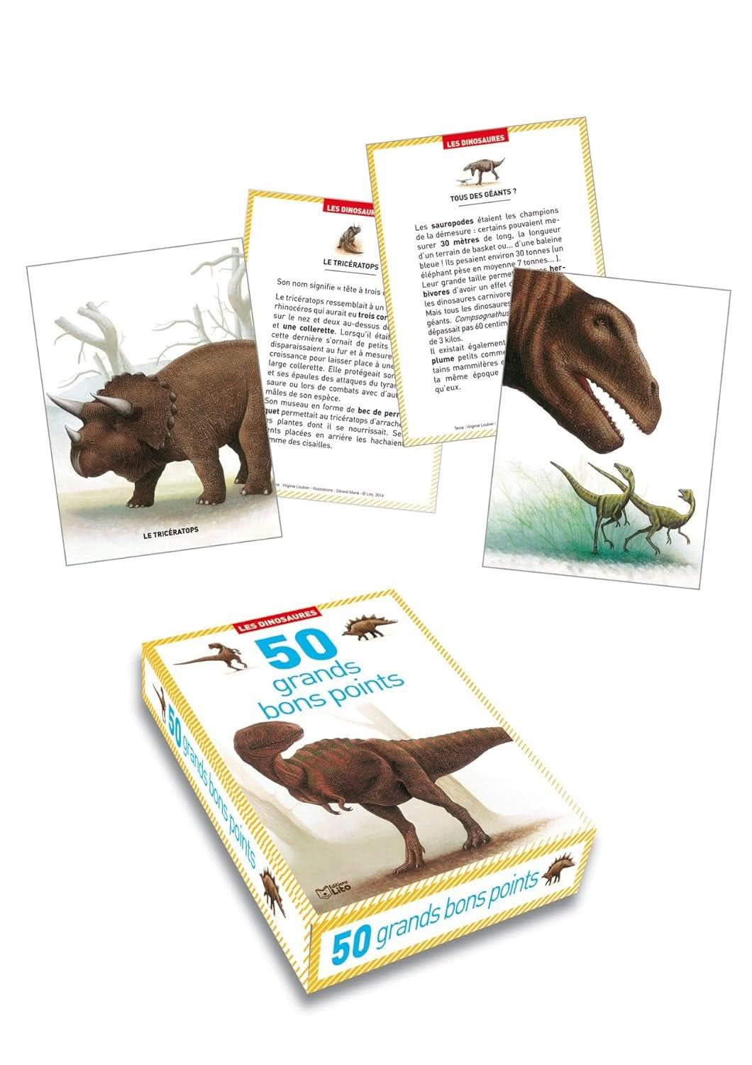 Boite de 50 grandes images Les dinosaures - Ma Rentrée Facile