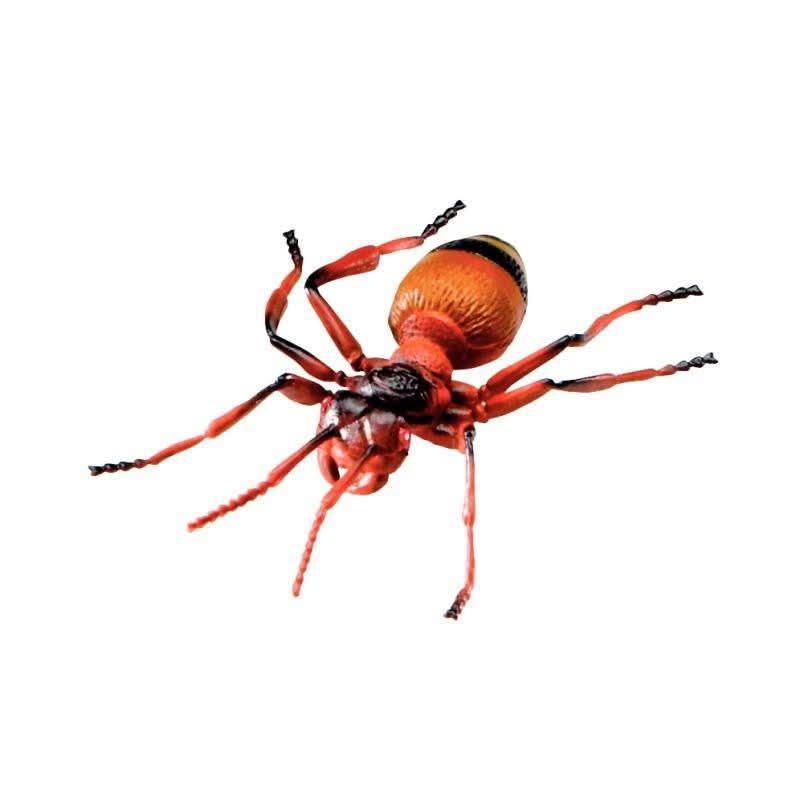Boite de 7 Jumbo insectes - Ma Rentrée Facile