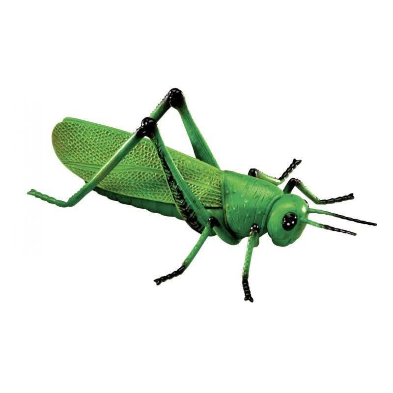 Boite de 7 Jumbo insectes - Ma Rentrée Facile