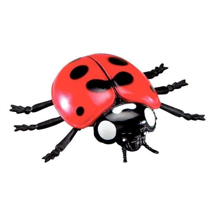 Boite de 7 Jumbo insectes - Ma Rentrée Facile