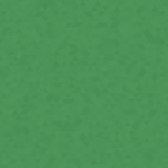 Chemise cartonnée 3 rabats à élastiques OXFORD vert - Ma Rentrée Facile