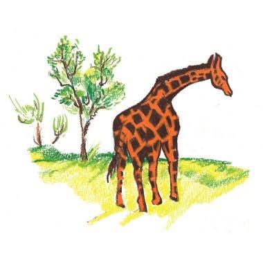 Crayon de couleur Woody or - Ma Rentrée Facile