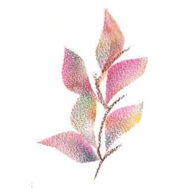 Crayon de couleur Woody or - Ma Rentrée Facile