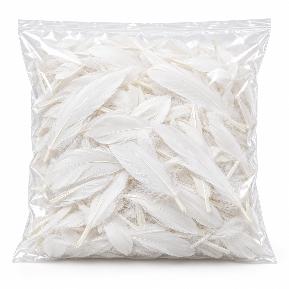 Sachet de 25 gr de plumes de dinde, pieds plats blanc