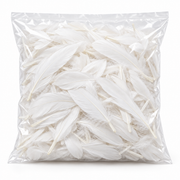 Sachet de 25 gr de plumes de dinde, pieds plats blanc
